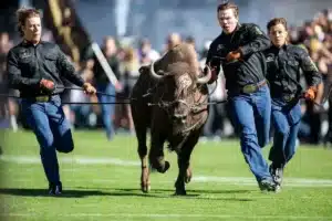 Colorado Buffaloes mascot Raphie runs on the field before the football game against the Nebraska Cornhuskers in Boulder, Colorado, Friday, September 9, 2023. Photo by John Peterson.