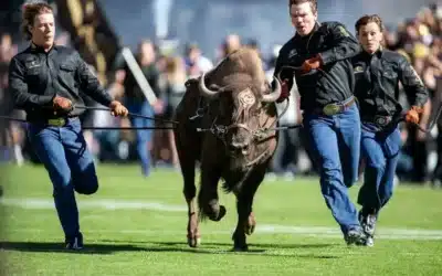 Nebraska Football vs. Colorado Photos – 09/09/23