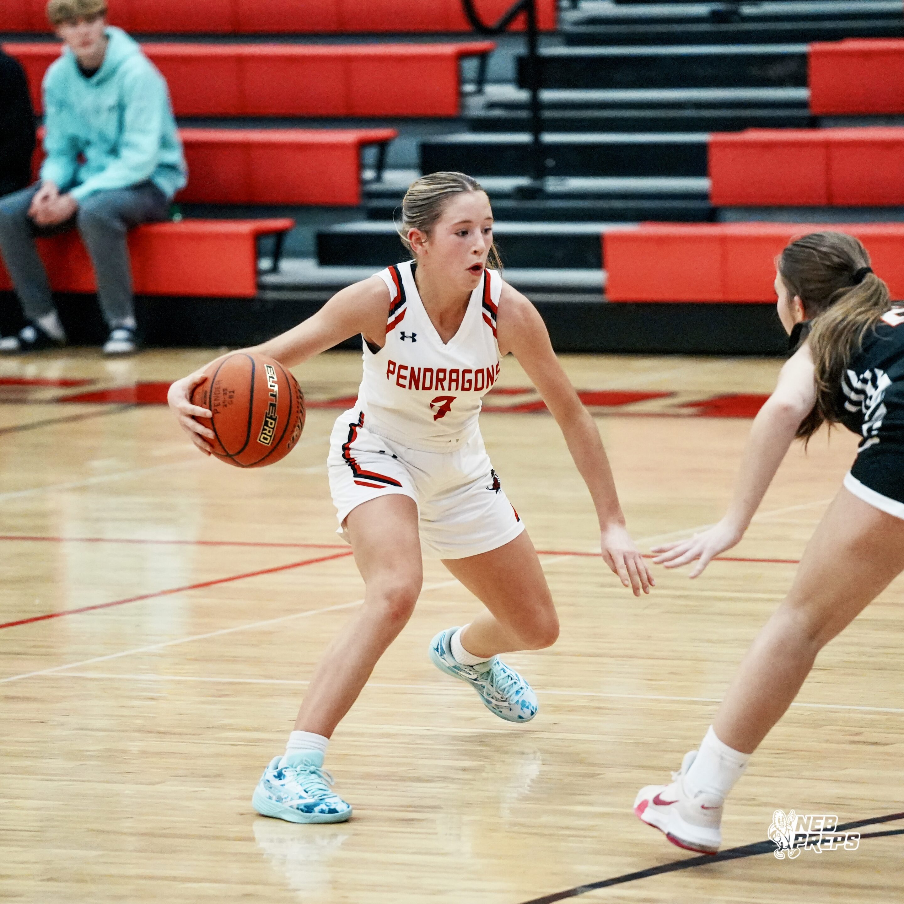 Pender Girls Basketball Nebraska High School Girls Basketball Coaches Poll