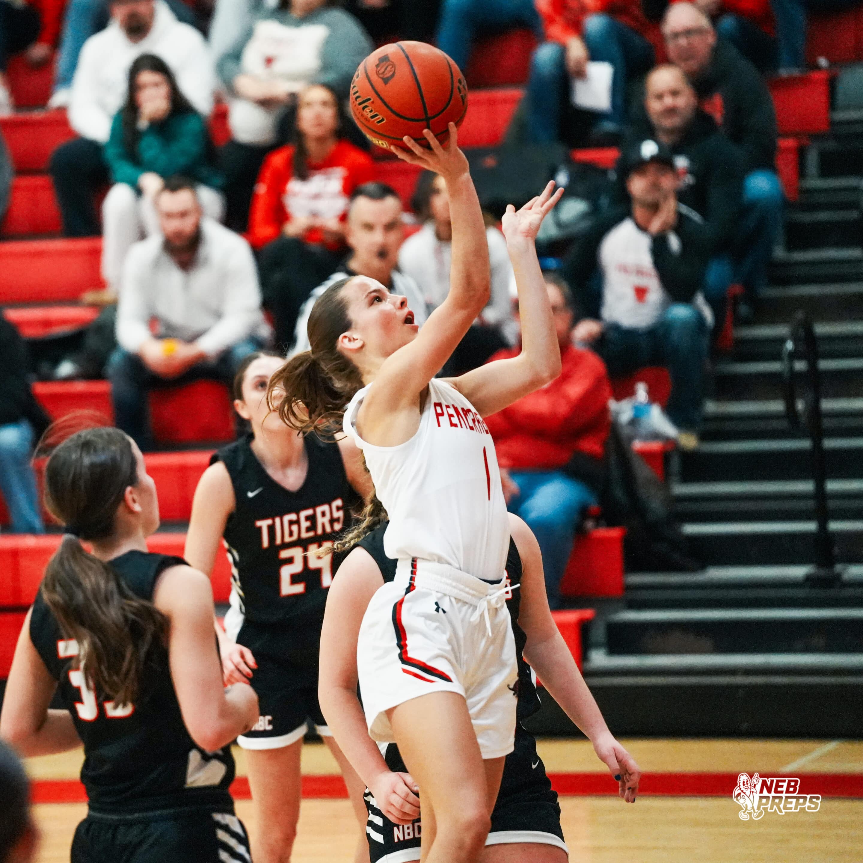 Nebraska High School Girls Basketball Coaches Poll 2/3/25