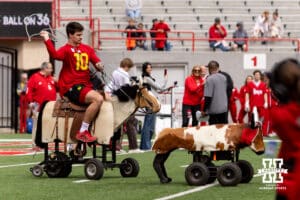 Heinrich Haarberg trying to rope a remote controled steer during Husker games Saturday, April 26, 2025 in Lincoln, Nebraska. Photo by John S. Peterson.
