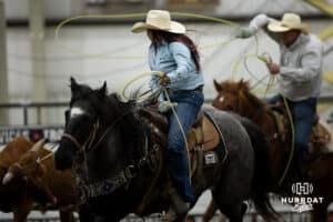 A cowgirl, the header, turning the steer for the cowboy, the healer to rope the legs during the John Cook Roping Classic on Sunday, April 13, 2025 in Lincoln, Nebraska. Photo by John S. Peterson.