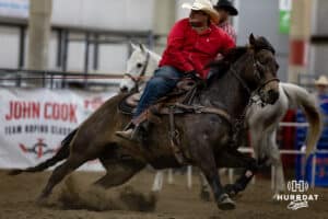 A cowboy roping a steer in a team roping competition during the John Cook Roping Classic on Sunday, April 13, 2025 in Lincoln, Nebraska. Photo by John S. Peterson.