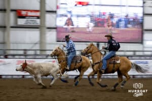 John Cook riding as the header getting the rope around the horns and Rod Doggett the healer ready to rope the rear legs in the earlier rounds during the John Cook Roping Classic on Sunday, April 13, 2025 in Lincoln, Nebraska. Photo by John S. Peterson.