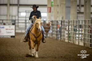 Taylor Cook riding Bud at the John Cook Roping Clinic on Saturday, April 12, 2025 in Lincoln, Nebraska. Photo by John S. Peterson.
