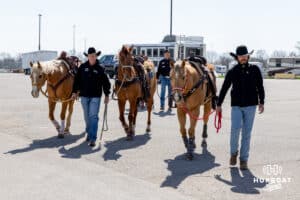 Taylor Cook leading Rev over the arena with John Cook and Mark Wray during John Cook Roping Clinic on Saturday, April 12, 2025 in Lincoln, Nebraska. Photo by John S. Peterson.