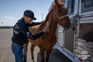 John Cook brushing Reggie preparing for the day at John Cook Roping Clinic on Saturday, April 12, 2025 in Lincoln, Nebraska. Photo by John S. Peterson.