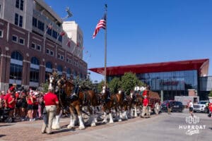 Budweiser employees driving the horses through East Stadium parking lot before Nebraska takes on Michigan State during a college football game on Saturday, October 4, 2025, in Lincoln, Nebraska. Photo by John S. Peterson.