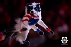 A dog makea a catch during a college basketball game on Monday, Feb. 16, 2026, in Lincoln, Nebraska. Photo by John S. Peterson.