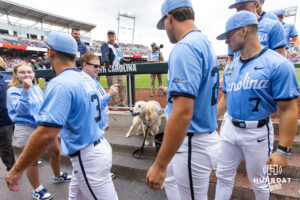 North Carolina Tar Heels players all pet Remingtion coming into the dugout before the start of the game during game two of the Finals of the College World Series baseball tournament on Sunday, June 21, 2026, in Omaha, Neb. Photo by John S. Peterson.