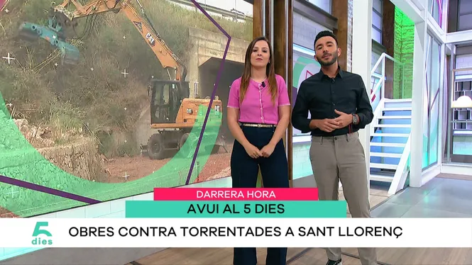 CINC DIES