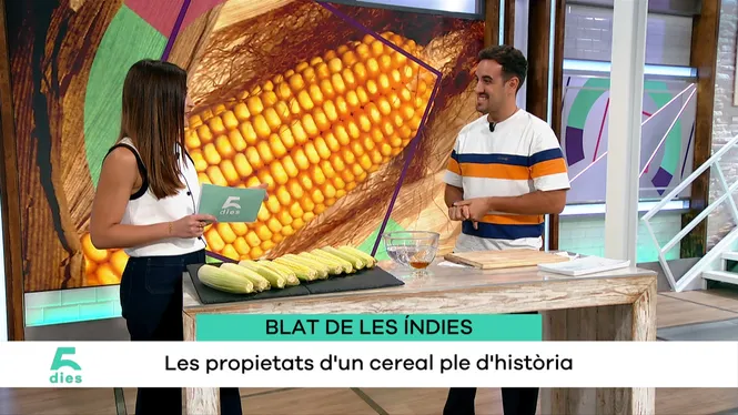 Cinc dies