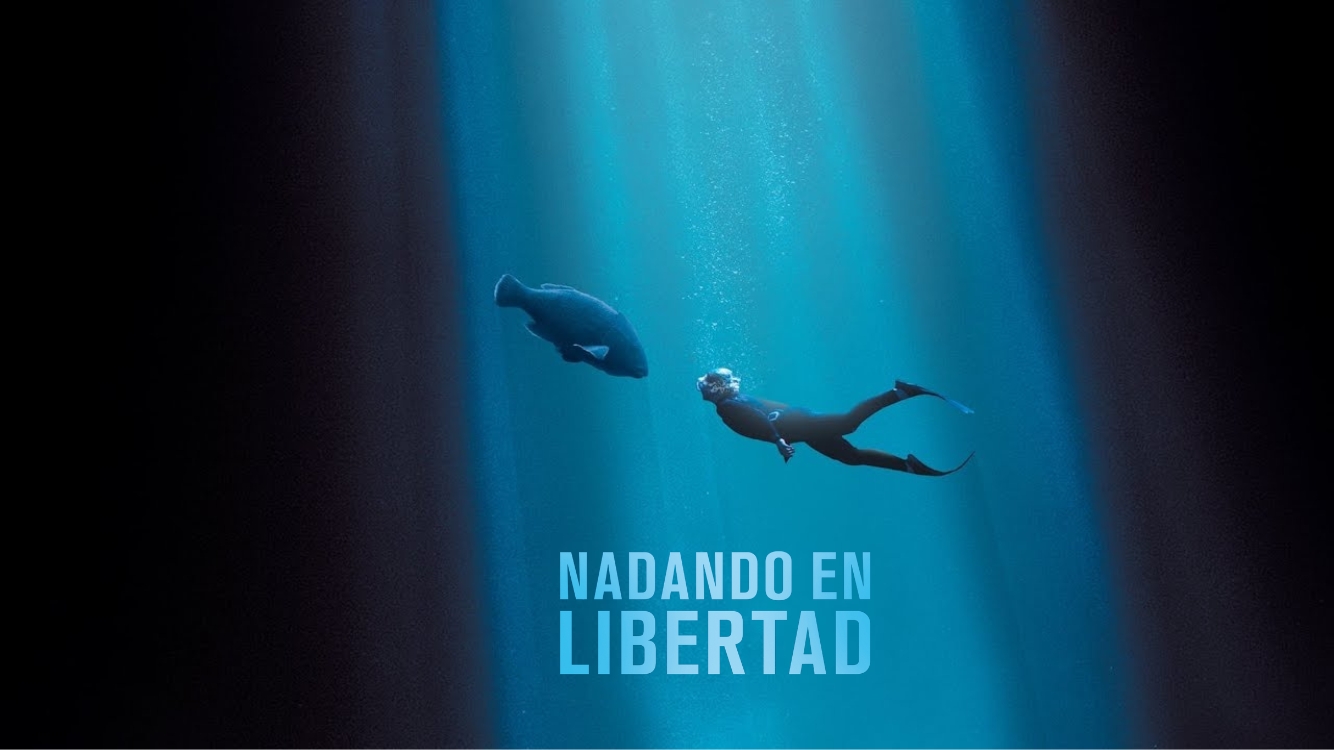 Nadando en libertad