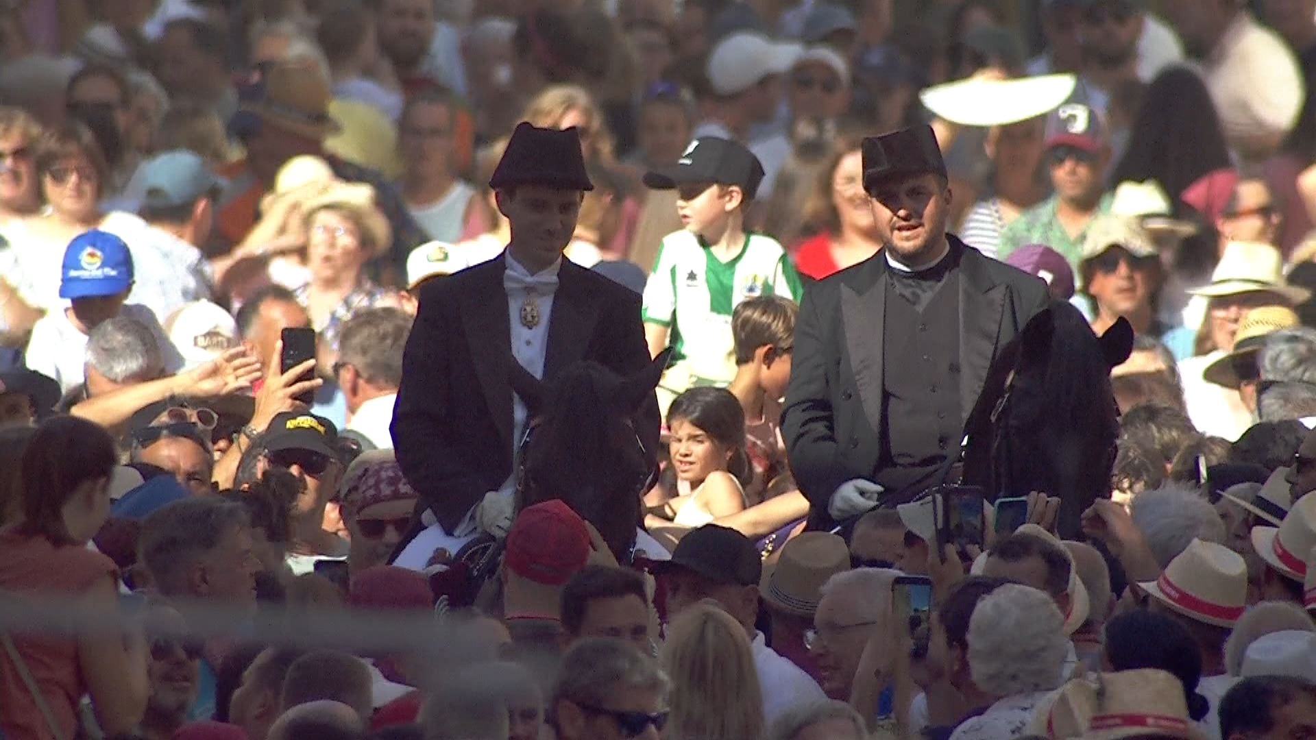 IB3