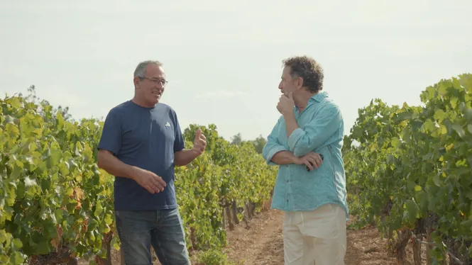 BODEGAS RIBAS/FORN MANOLO