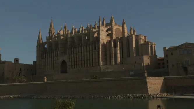 A DINS: LES ENTRANYES DE LA SEU