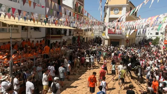 Jaleo de les festes de Sant Martí des Mercadal 2025