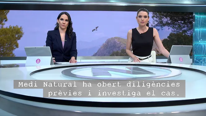 IB3 NOTÍCIES MIGDIA