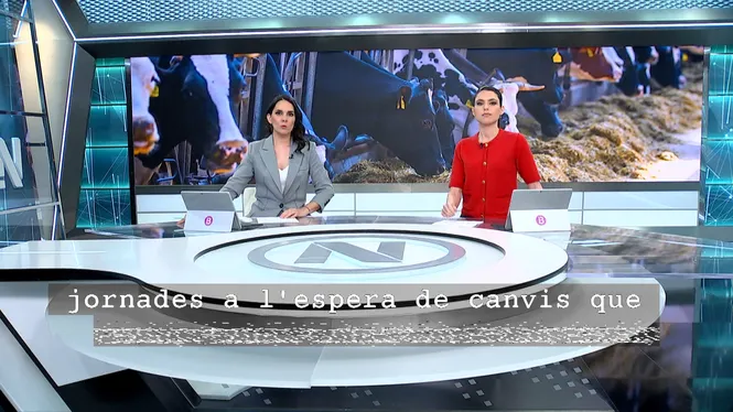 IB3 NOTÍCIES MIGDIA