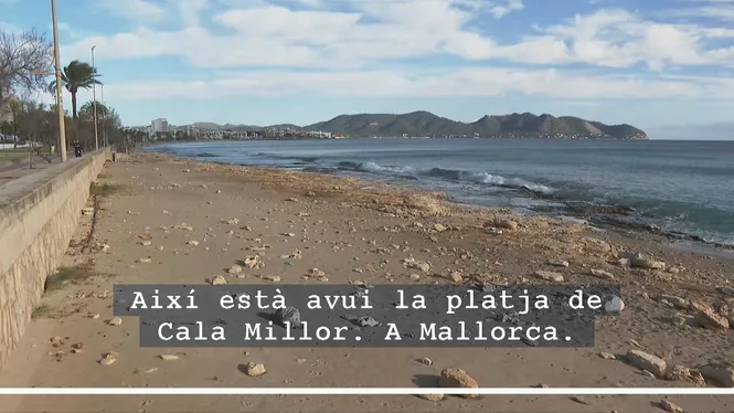 IB3 NOTÍCIES MIGDIA