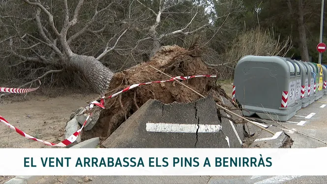 IB3 NOTÍCIES MIGDIA