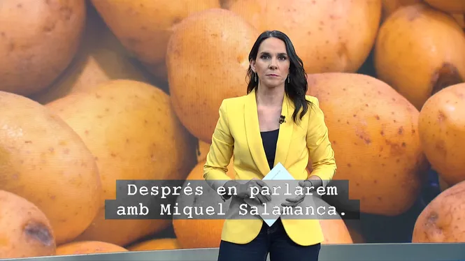 IB3 NOTÍCIES MIGDIA