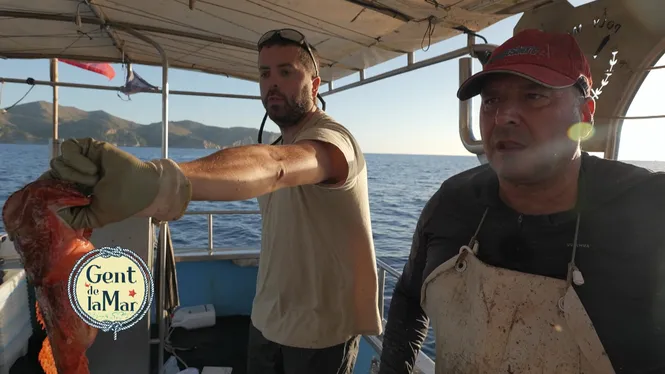 PESCA DE TRESMALL, JORNADA SOCIAL DE PESCA DE VAQUES I RAORS CRUIXENTS AMB ALFABEGUERA I PATATES FREGIDES