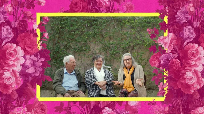 SANS COM UN GRA D'ALL