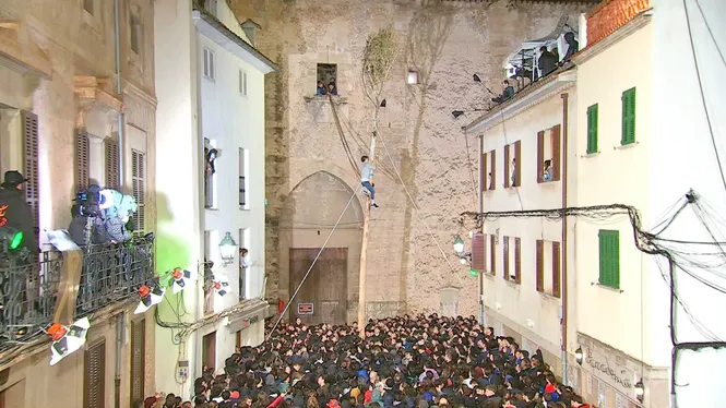 PI DE SANT ANTONI DE POLLENÇA 2026