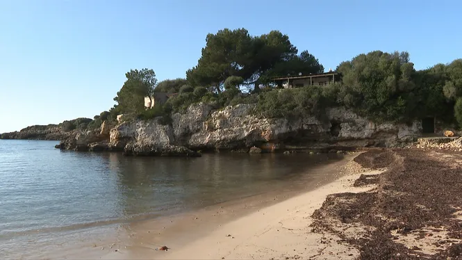 PREVISIÓ METEOROLÒGICA EDICIÓ MIGDIA 21/02/2026