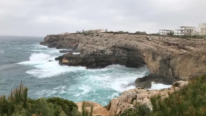 EL TEMPS IB3 - EDICIÓ VESPRE 03/03/26