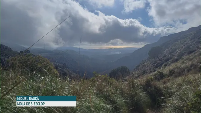 EL TEMPS IB3 - EDICIÓ VESPRE 09-12-25