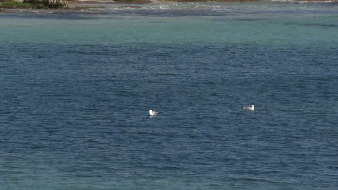 PREVISIÓ METEOROLÒGICA EDICIÓ VESPRE 22/02/2026