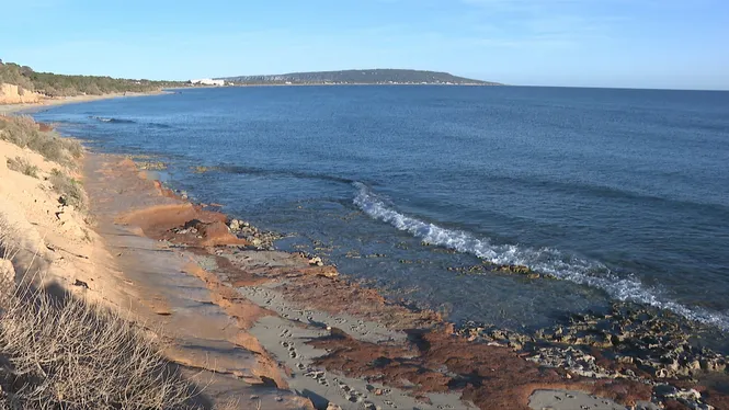 PREVISIÓ METEOROLÒGICA EDICIÓ VESPRE 20/02/2026