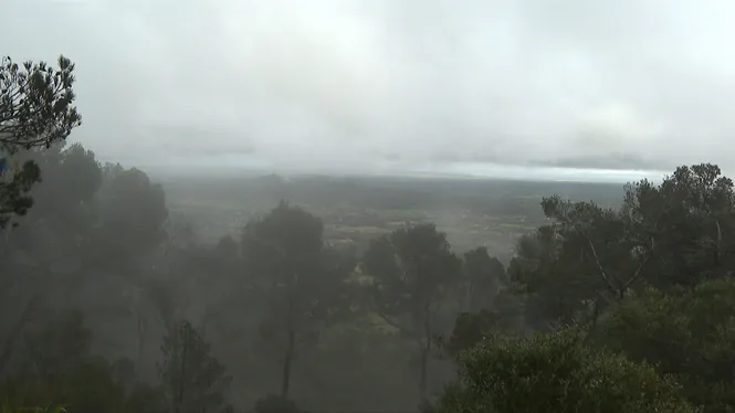 EL TEMPS IB3 - EDICIÓ VESPRE 06/03/2026