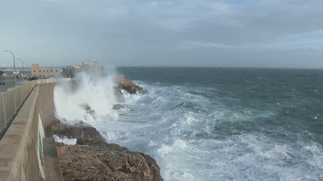 PREVISIÓ METEOROLÒGICA EDICIÓ VESPRE 05/02/2026