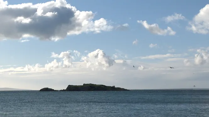 EL TEMPS IB3 - EDICIÓ MIGDIA 08/02/2026