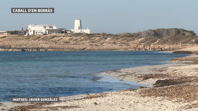 PREVISIÓ METEOROLÒGICA EDICIÓ VESPRE 25/02/2026