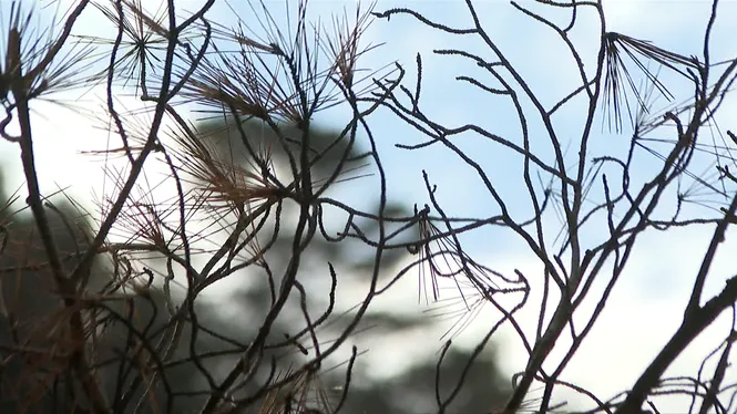 EL TEMPS IB3 - EDICIÓ MIGDIA 06/03/26