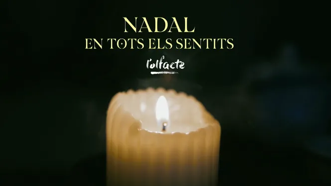 NADAL EN TOTS ELS SENTITS: L'OLFACTE