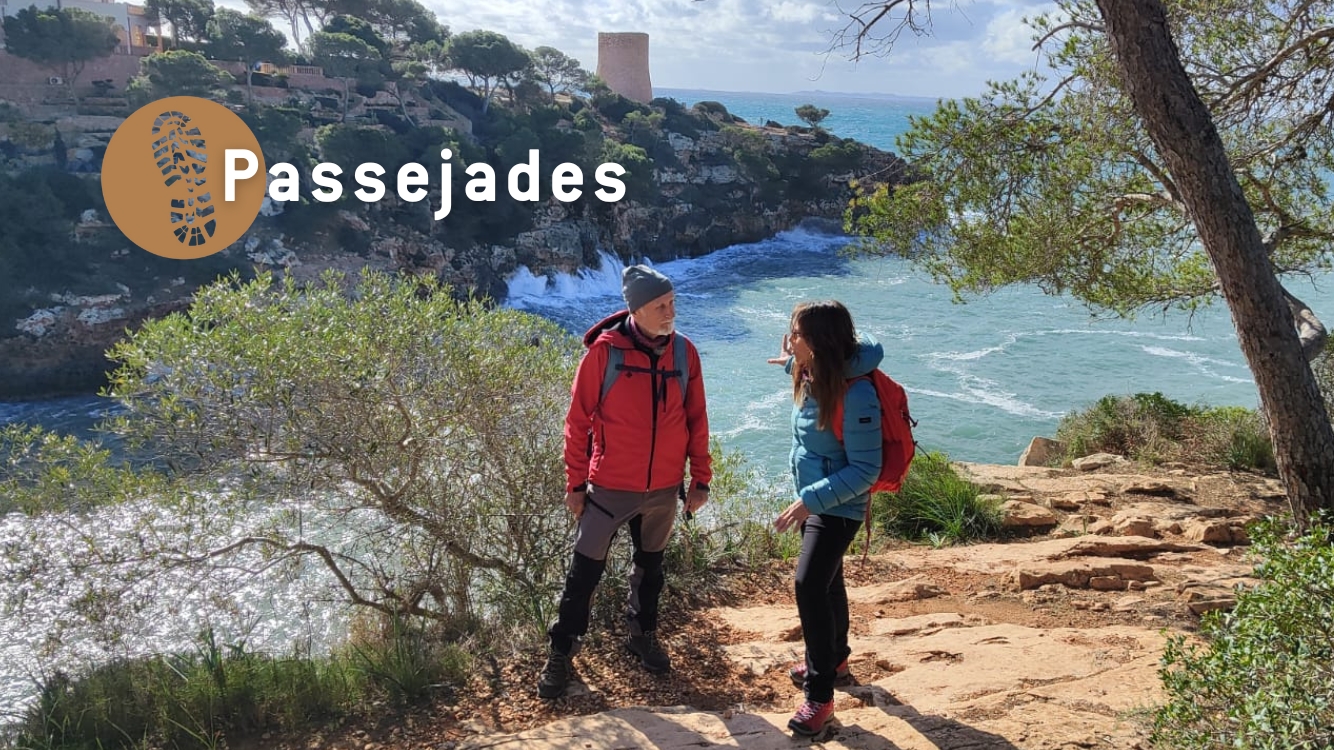 Passejades