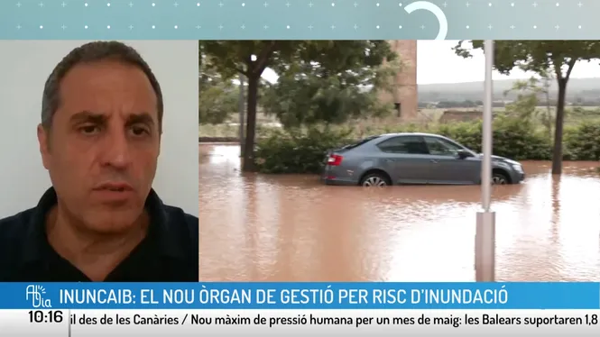 Al dia