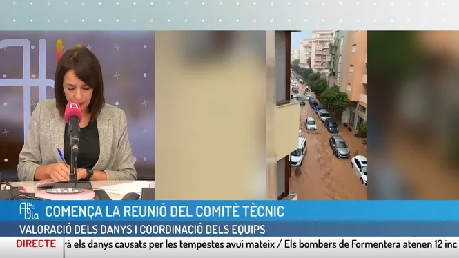 AL DIA