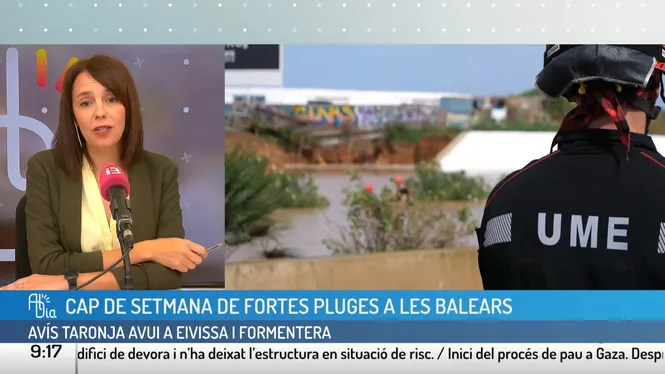 AL DIA