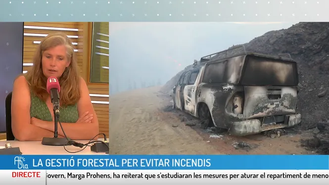 AL DIA