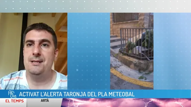AL DIA