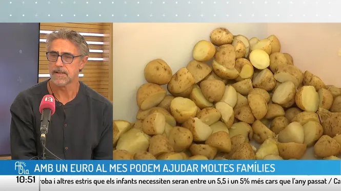 Al dia
