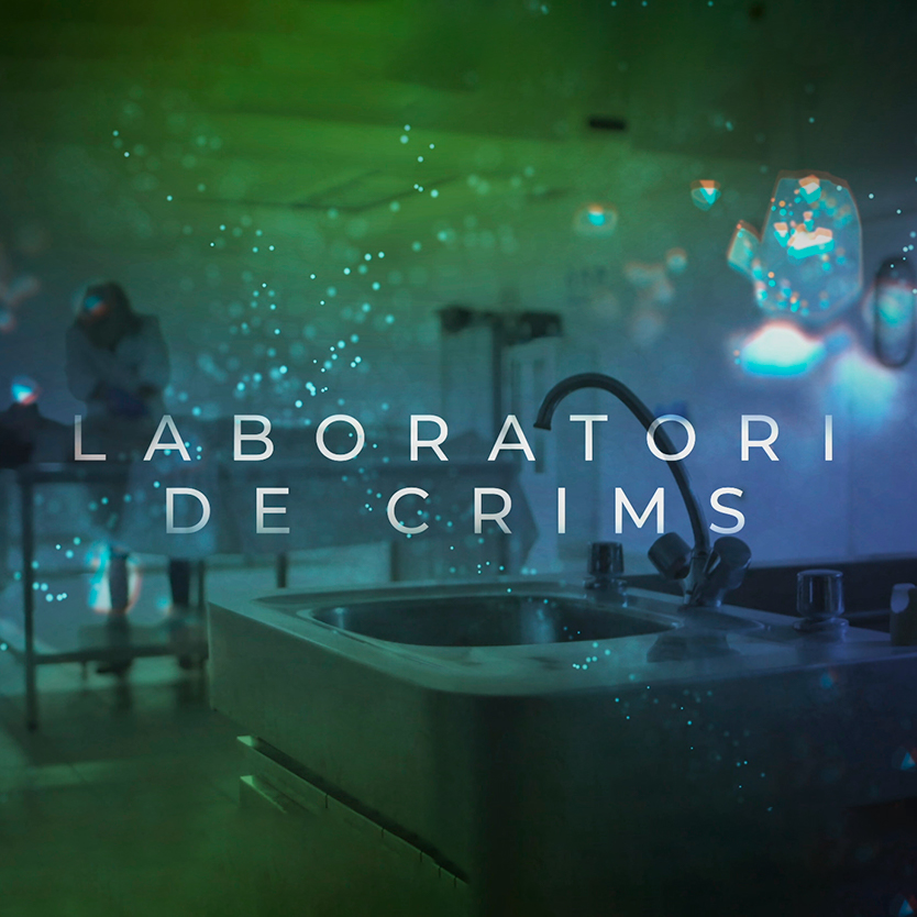 Laboratori de crims
