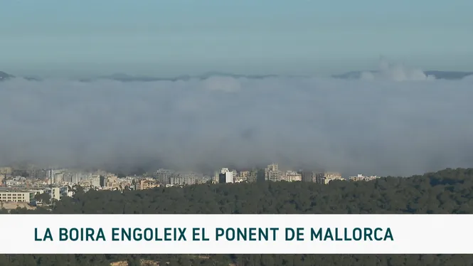 IB3 NOTÍCIES VESPRE 23/02/26