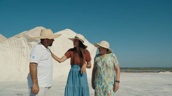 ALBERGÍNIES FARCIDES